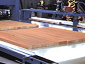 木材和人造板行业皮带